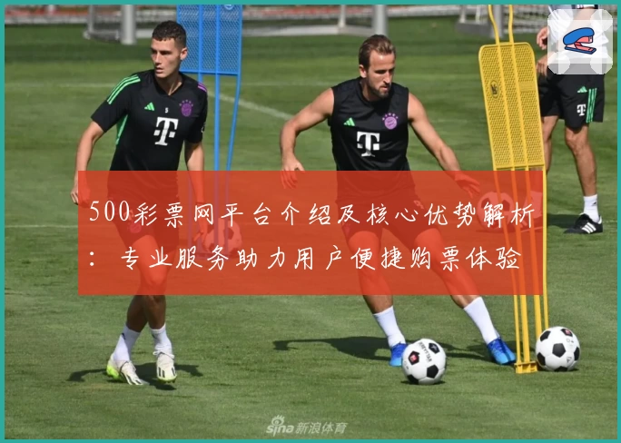 500彩票网平台介绍及核心优势解析：专业服务助力用户便捷购票体验